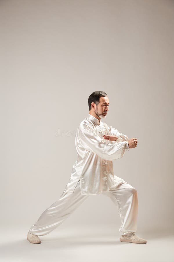 Senior Master Practicing Qi Qong Taijiquan Stock Image Image Of Martial Culture 137245213