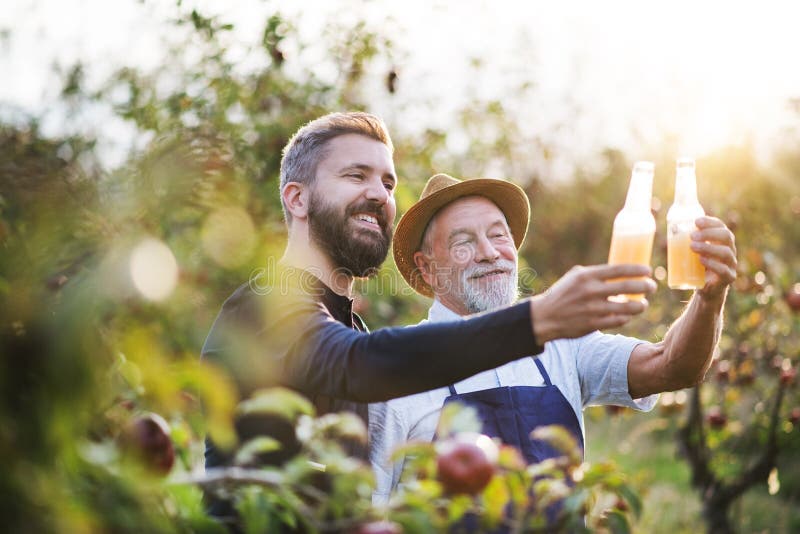 A senior man with adult son holding bottles with cider in apple orchard in autumn. royalty free stock photos A senior man with adult son holding bottles with cider in apple orchard in autumn. royalty free stock photos