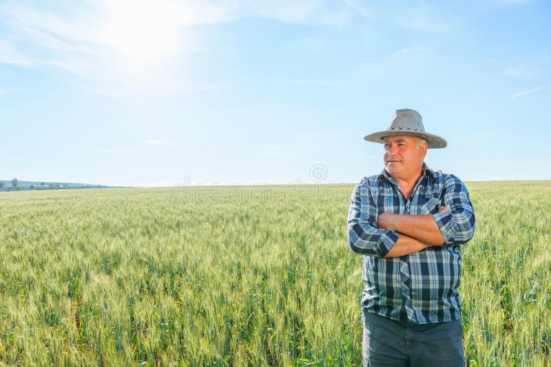 Senior männlicher Bauer, der sich beim Stehen auf dem landwirtschaftlichen Feld mit nachdenklichem Gesicht wegschaut stockfoto