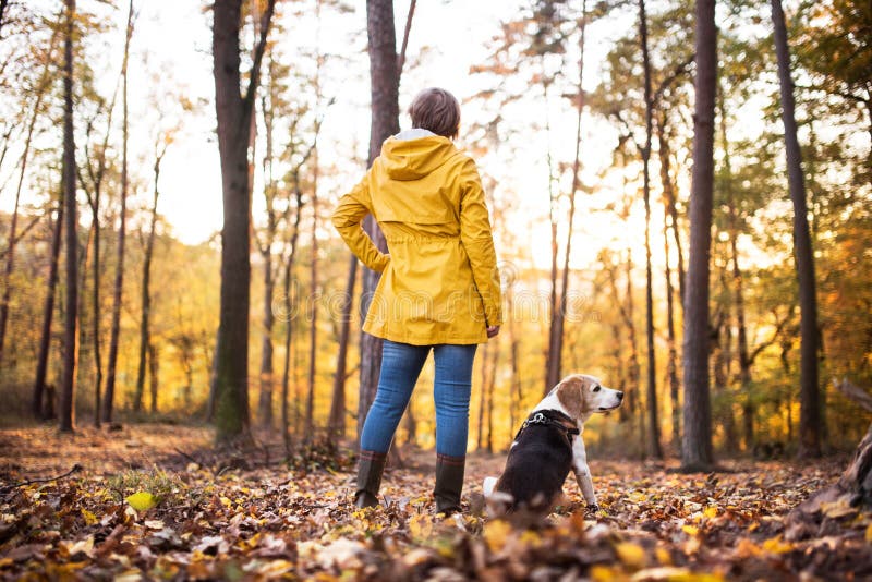 Senior woman with dog on a walk in an autumn forest.