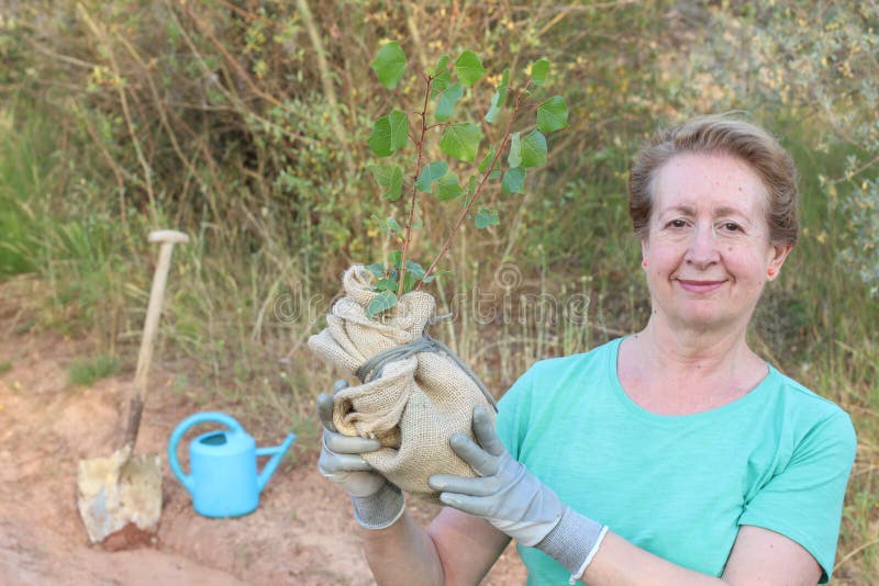 Senior woman planting trees isolated royalty free stock image