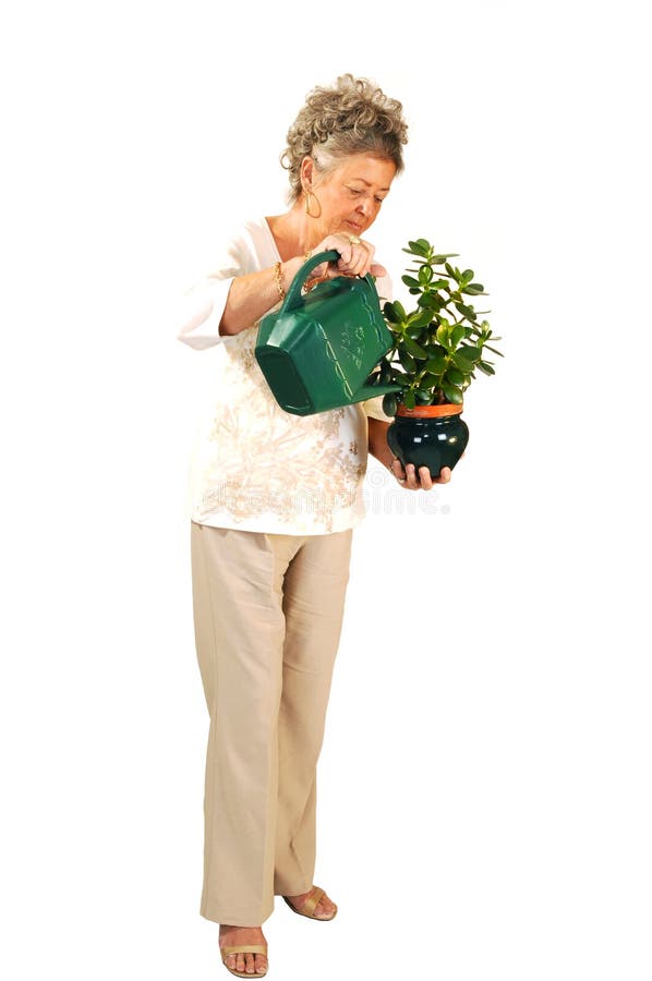 Senior woman watering plant.