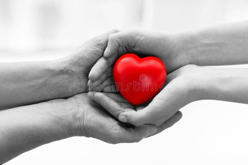 Senior and young woman hands holding red heart