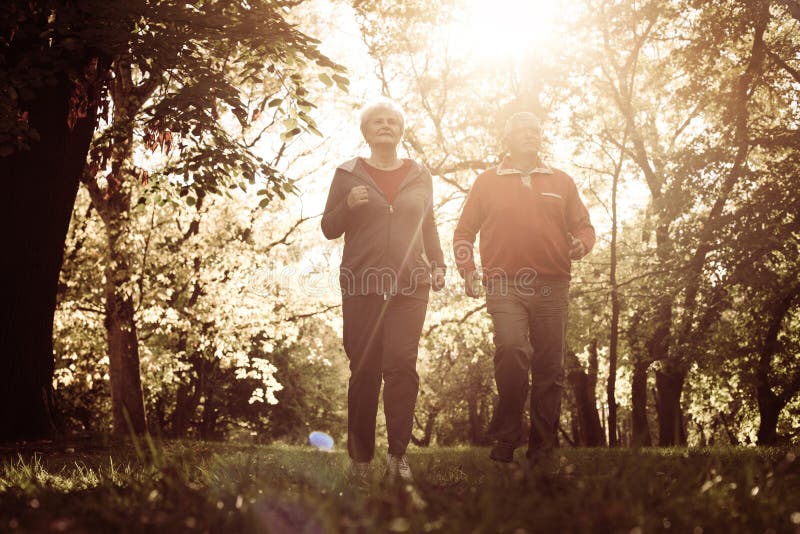 Seniors couple exercising together in meadow. stock image Seniors couple exercising together in meadow. stock image