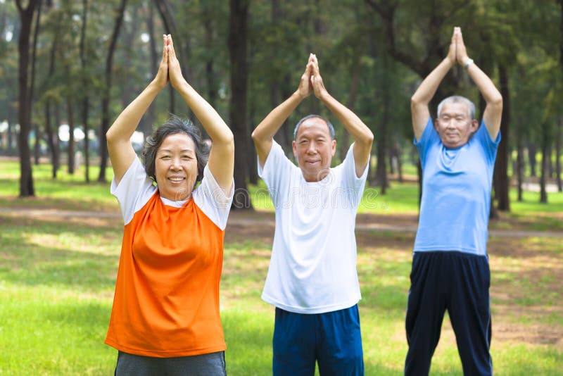 Seniors doing gymnastics in the park