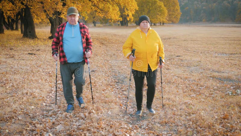 Seniors pareja marcha nórdica en el bosque de otoño.