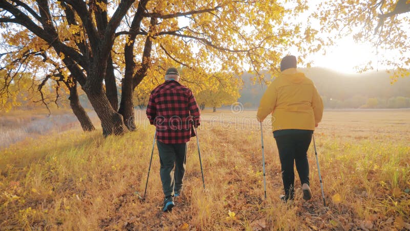Seniors pareja marcha nórdica en el bosque de otoño.