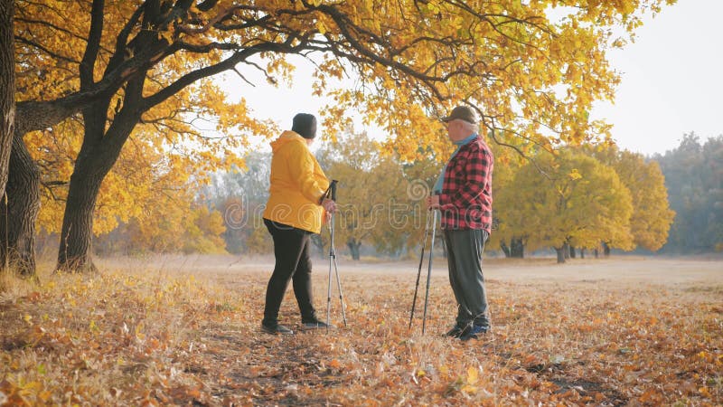 Seniors pareja marcha nórdica en el bosque de otoño.