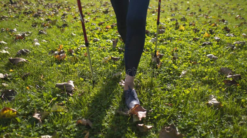 Seniorvrouw nordic wandelend met een vriend van een hond. buitenshuis en gezonde levensstijl voor ouderen en hun huisdieren