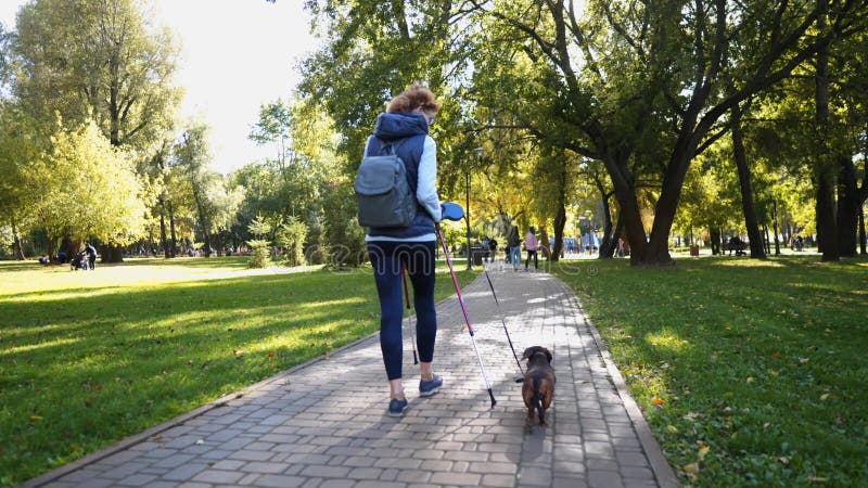 Seniorvrouw nordic wandelend met een vriend van een hond. buitenshuis en gezonde levensstijl voor ouderen en hun huisdieren