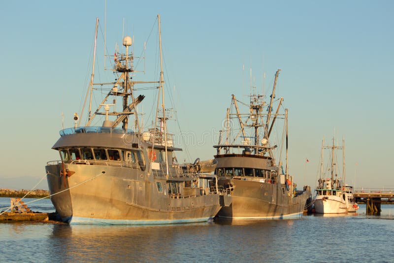 Morning light on large aluminum Seine boats moored in Steveston Harbor near Vancouver. British Columbia, Canada. Morning light on large aluminum Seine boats moored in Steveston Harbor near Vancouver. British Columbia, Canada.