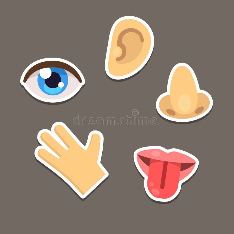 Senses icons vector illustration