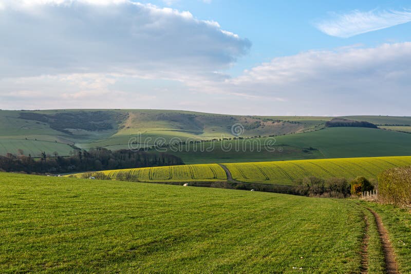 Senssex Farmland na primavera foto de stock royalty free Senssex Farmland na primavera foto de stock royalty free