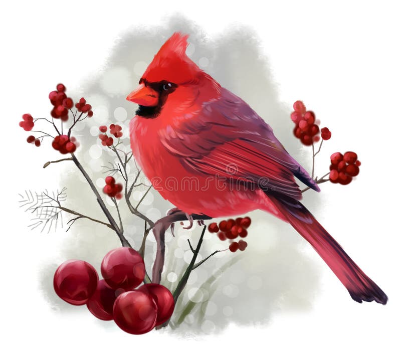 Sentada cardinal del pájaro en una rama stock de ilustración