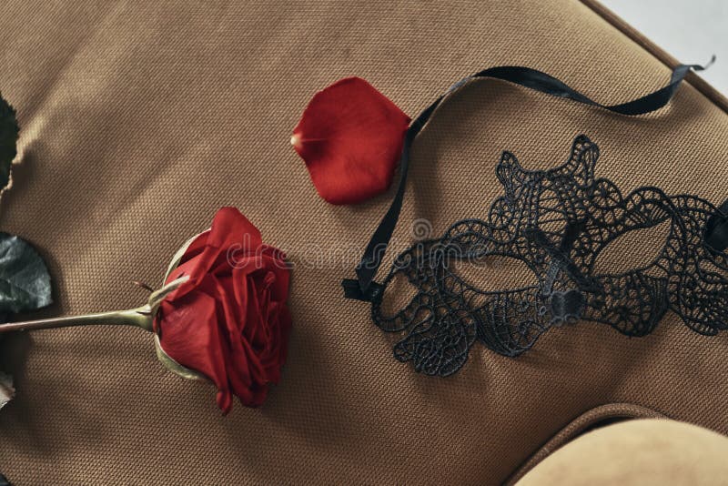 Sentez la passion Fermez-vous vers le haut de la vue supérieure de la rose simple et du noir de rouge photographie stock Sentez la passion Fermez-vous vers le haut de la vue supérieure de la rose simple et du noir de rouge photographie stock