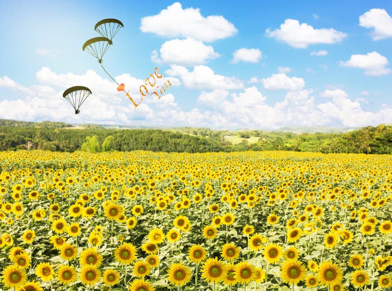 Sentez-vous gratuit pour voler, aimez-vous avec le coeur photo stock Sentez-vous gratuit pour voler, aimez-vous avec le coeur photo stock