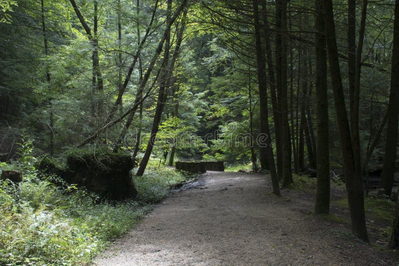 Sentier de randonnée bien maintenu photos libres de droits Sentier de randonnée bien maintenu photos libres de droits