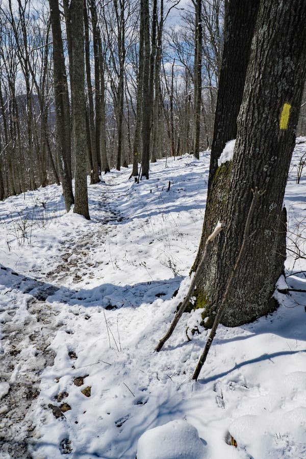 Sentier de randonnée d'hiver dans Ridge Mountains bleu photos stock Sentier de randonnée d'hiver dans Ridge Mountains bleu photos stock