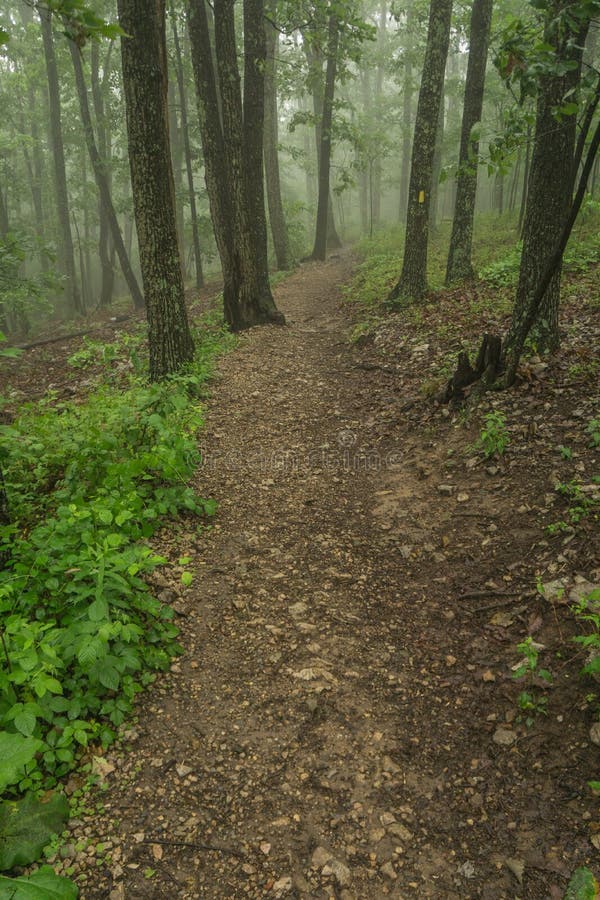 Sentier de randonnée dans le brouillard images libres de droits Sentier de randonnée dans le brouillard images libres de droits
