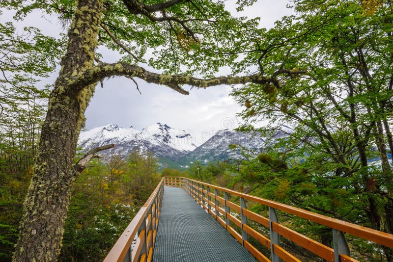 Sentier piéton et paysage en parc national de visibilité directe Glaciares photographie stock libre de droits Sentier piéton et paysage en parc national de visibilité directe Glaciares photographie stock libre de droits