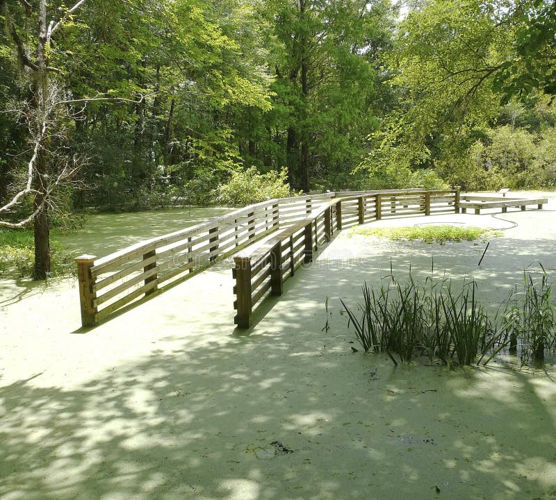 Sentiero costiero Gainesville Florida del giardino dell'acqua sommersa fotografia stock Sentiero costiero Gainesville Florida del giardino dell'acqua sommersa fotografia stock