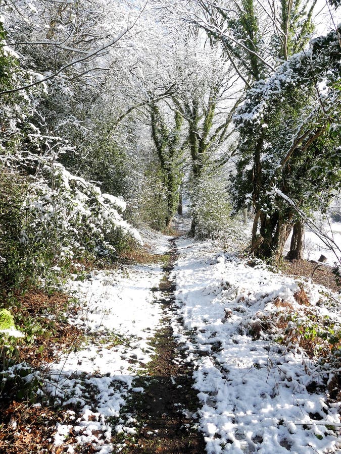 Sentiero per pedoni del terreno boscoso nella neve di inverno, terreno comunale di Chorleywood, Hertfordshire immagine stock libera da diritti Sentiero per pedoni del terreno boscoso nella neve di inverno, terreno comunale di Chorleywood, Hertfordshire immagine stock libera da diritti