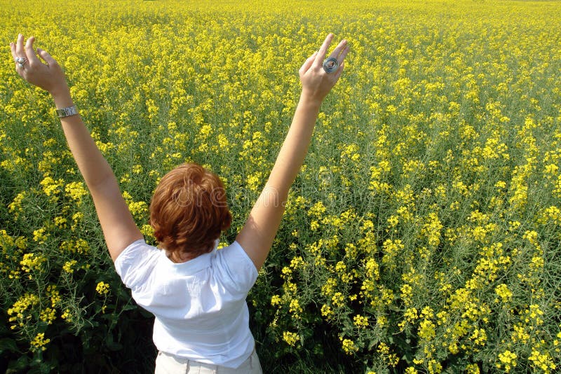 Summer feeling concept of a young woman in a flower field. Summer feeling concept of a young woman in a flower field