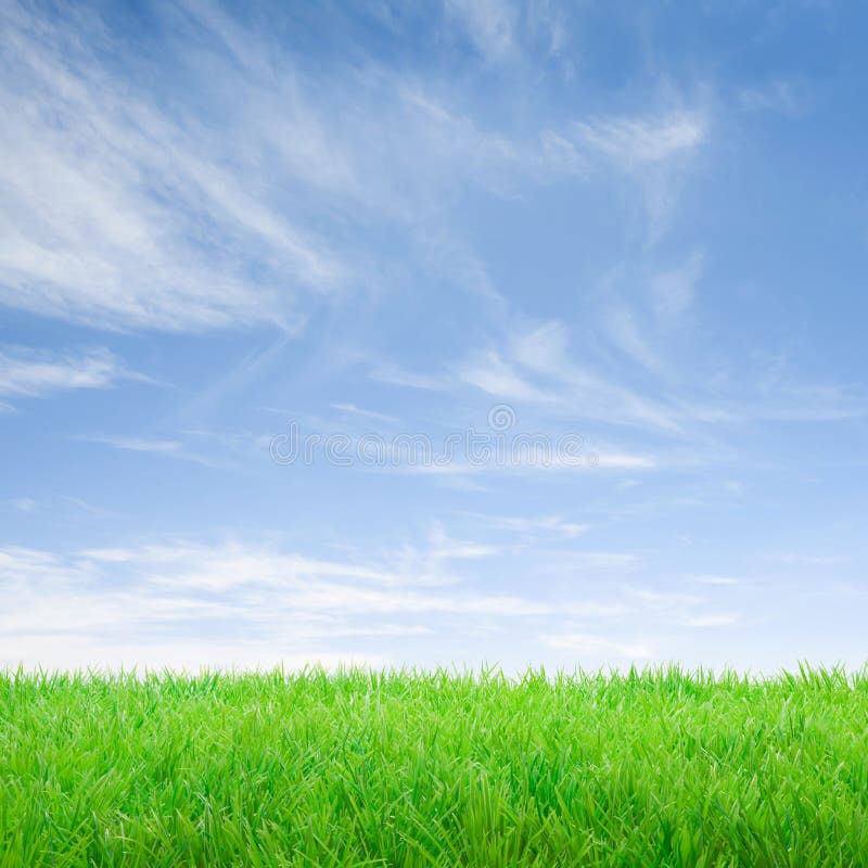 Sensação de verão! fotografia de stock royalty free