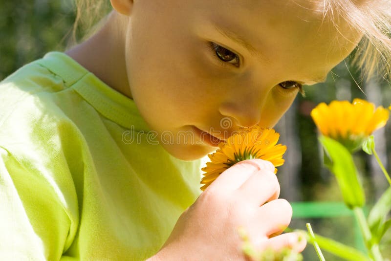 Sentire Profumi Improvvisi Di Fiori Sentire l'odore dei fiori fotografia stock. Immagine di persona - 10739794