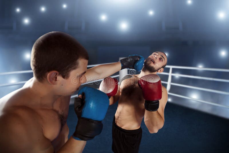Sents del pugile il suo oppositore al knock-out fotografie stock Sents del pugile il suo oppositore al knock-out fotografie stock