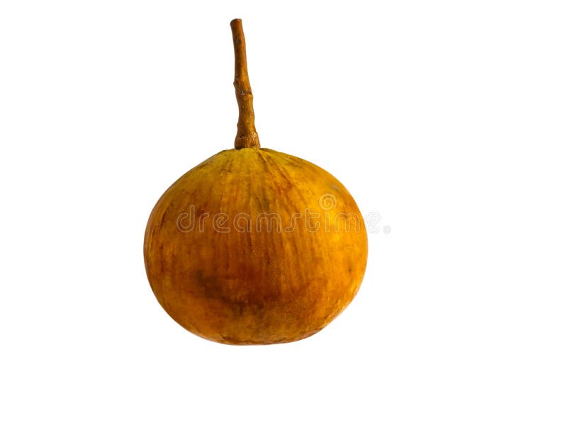 Sentulfruit op witte achtergrond met het knippen van weg wordt geïsoleerd die royalty-vrije stock foto's Sentulfruit op witte achtergrond met het knippen van weg wordt geïsoleerd die royalty-vrije stock foto's