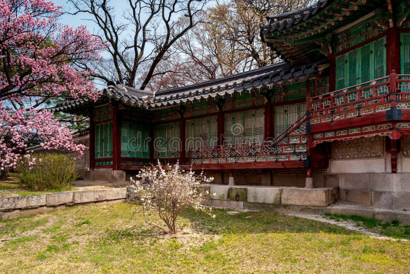 Seongjeonggak Hall in Changdeokgung Palace with cherry blossoms in spring, Seoul, South Korea stock images Seongjeonggak Hall in Changdeokgung Palace with cherry blossoms in spring, Seoul, South Korea stock images