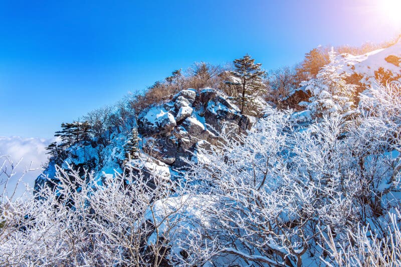 Seoraksan Mountains is Covered by Snow in Winter, Korea. Stock Image