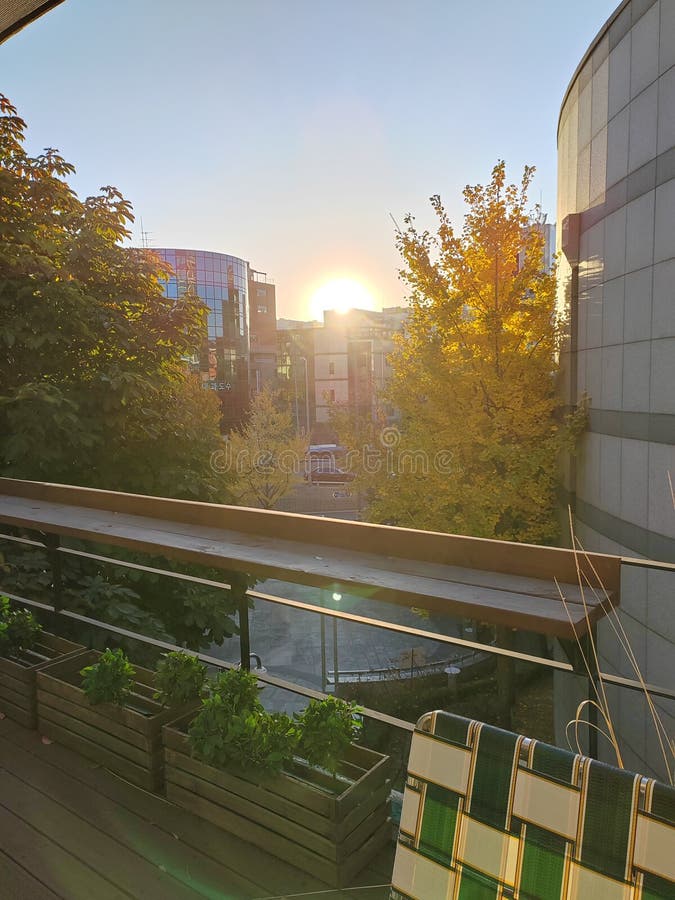 Rooftop Sunset in Lisbon, Portugal. Stock Photo Image of lights, view