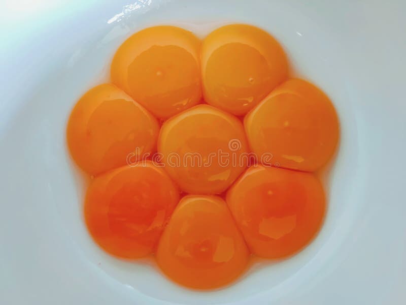 Separi i rossi d'uovo dalle chiare dell'uovo per la fabbricazione dei dolci fotografie stock libere da diritti Separi i rossi d'uovo dalle chiare dell'uovo per la fabbricazione dei dolci fotografie stock libere da diritti