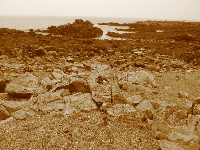 Sepia Beach stock image. Image of park, nature, america - 179963