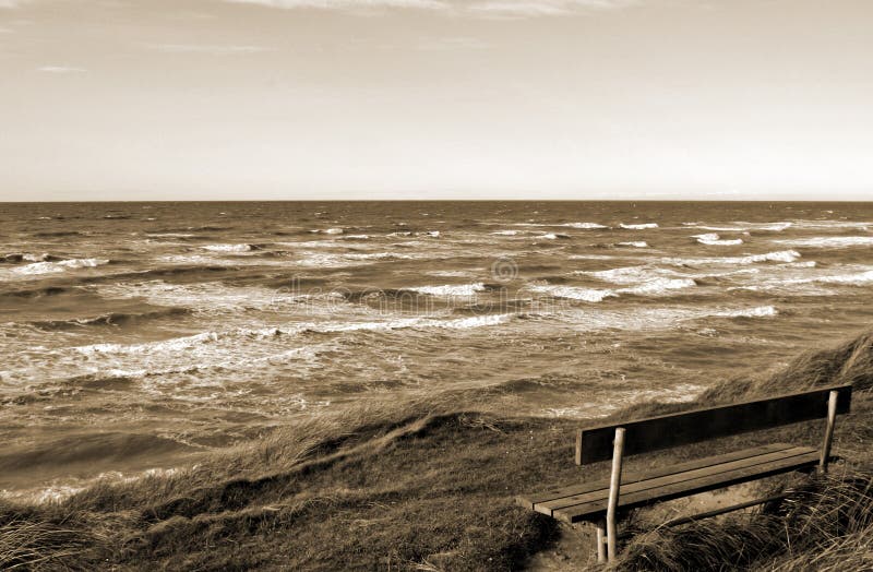 Sepia Bench