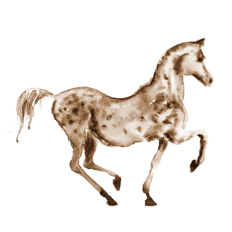 Sepia waterverfhand die Arabisch vlek grijs paard in motie trekken op wit royalty-vrije illustratie Sepia waterverfhand die Arabisch vlek grijs paard in motie trekken op wit royalty-vrije illustratie