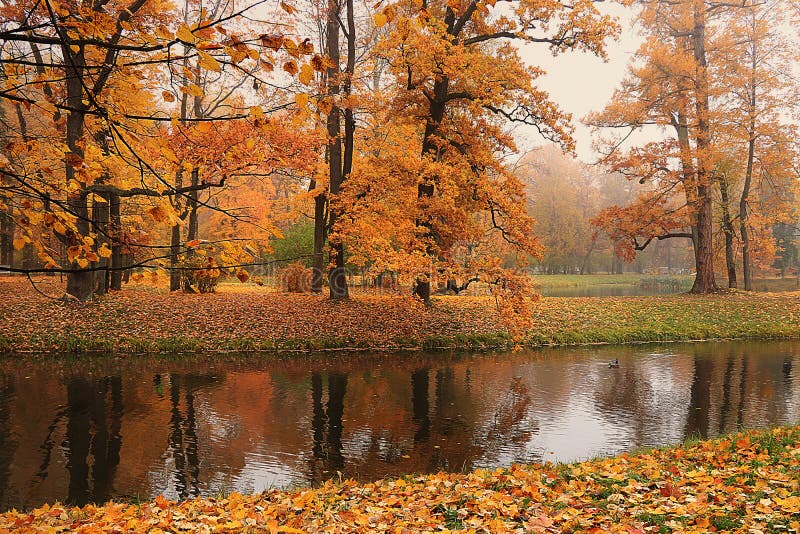 September Autumn Park in Russia, Lake with Red Leaves and Reflection in ...