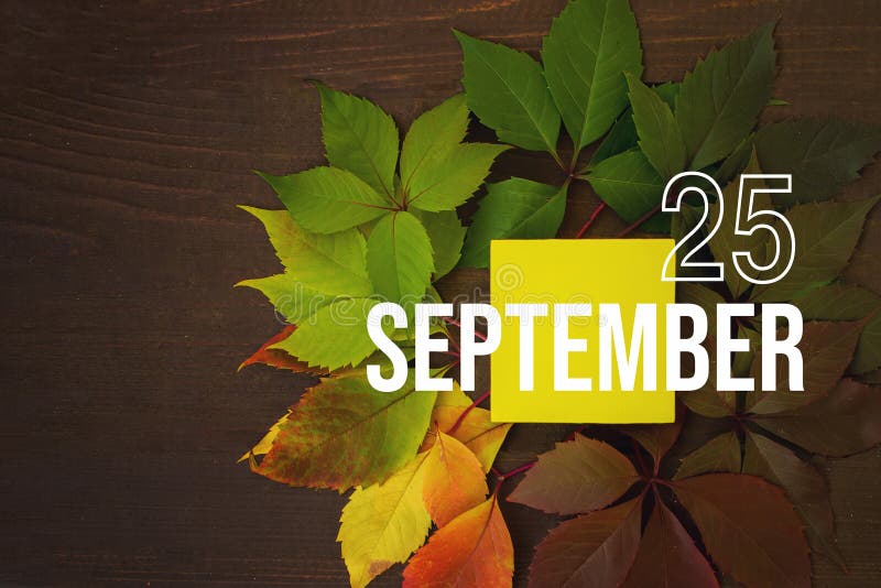 September 25th. Day 25 of Month, Calendar Date Stock Image Image of