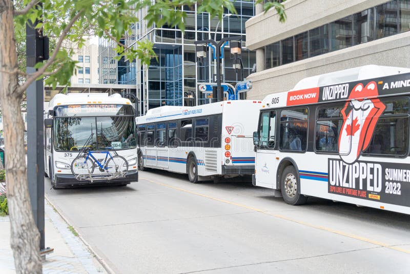 September 04 2022 Winnipeg Manitoba Canada Winnipeg Transit Buses