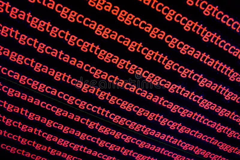 Sequencing the genome. Background on the subject of DNA sequencing, symbols of nucleotide bases on the dark. Gene sequence stock images, royalty-free photos and pictures