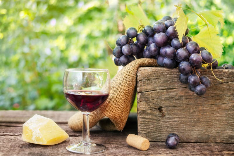 Ser i szkło czerwone wino obraz stock Ser i szkło czerwone wino obraz stock