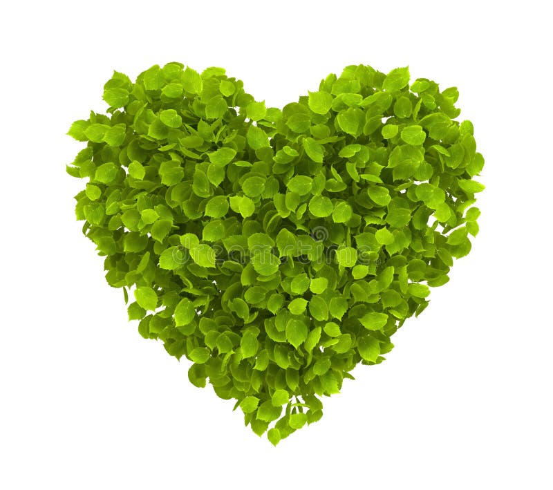 Green leaves heart shape isolated on white background. Ecology concept. 3D illustration. Green leaves heart shape isolated on white background. Ecology concept. 3D illustration