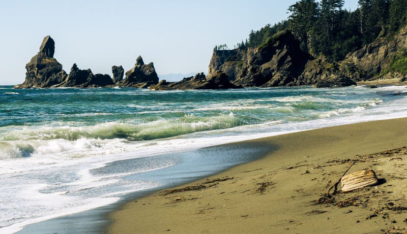 Serene Coastal Beauty Pacific Northwest Oregon