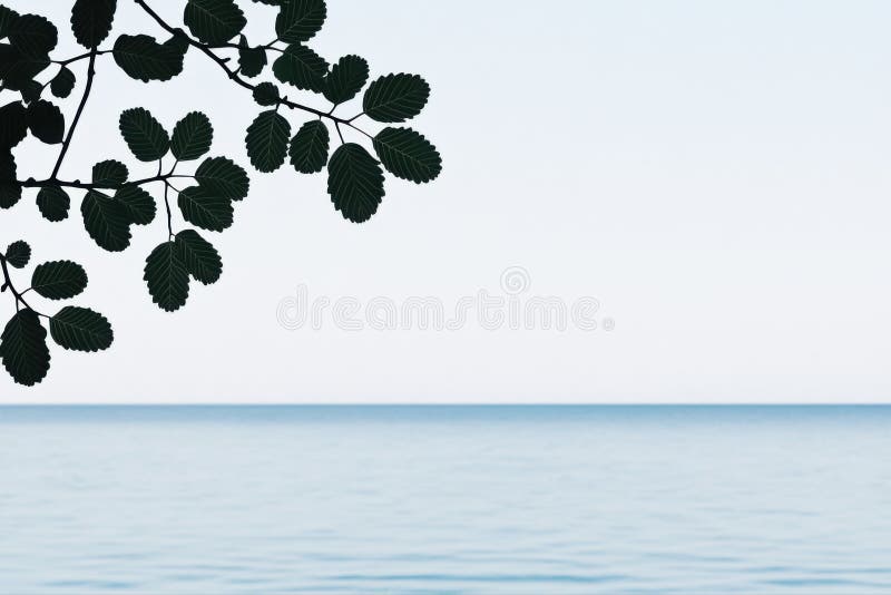 Serene Coastal Silhouette; Tranquil Ocean Meets Foliage stock illustration