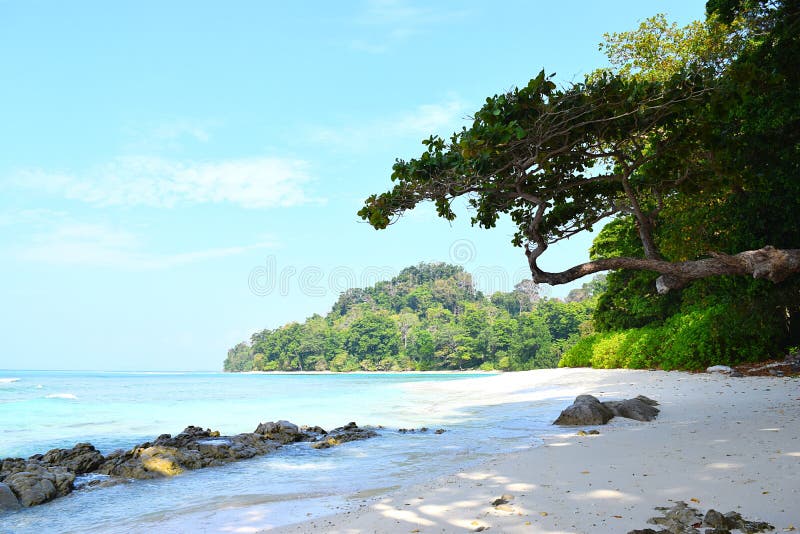 Serene Landscape mit steiniger Strand-, Baum-, Himmel-und wasser- Neils Bucht, Radhanagar-Strand, Havelock-Insel, Andaman Nicobar stockbild Serene Landscape mit steiniger Strand-, Baum-, Himmel-und wasser- Neils Bucht, Radhanagar-Strand, Havelock-Insel, Andaman Nicobar stockbild