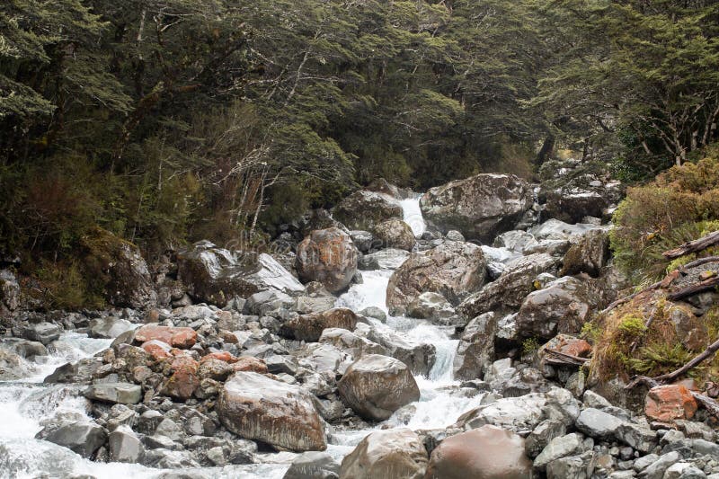 Serene mountain stream flowing through rocky forest landscape stock photos