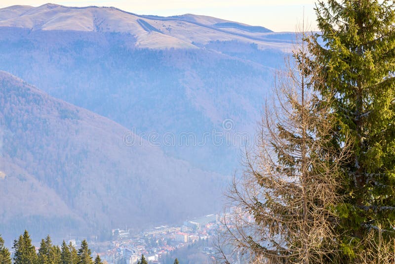 Serene mountain valley view with lush evergreen forest and misty horizon stock photography