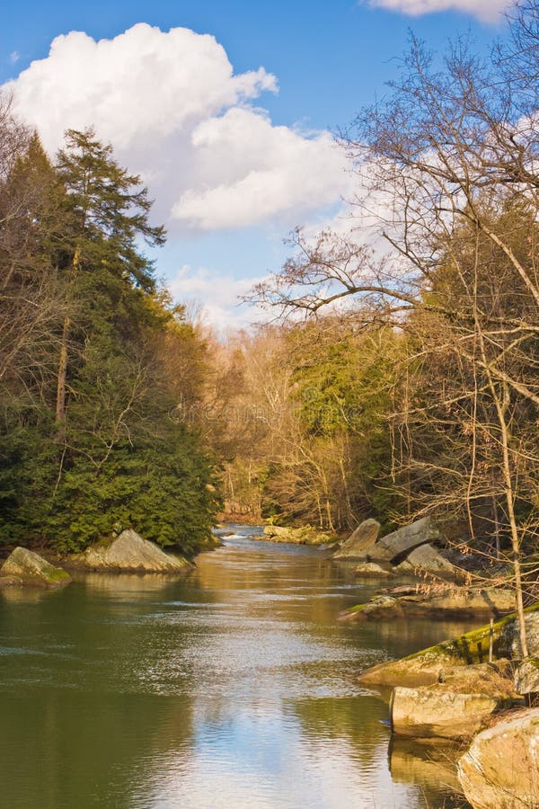 A stream meanders by rocks and trees in the woods, conveying a feeling of serenity and peace. A stream meanders by rocks and trees in the woods, conveying a feeling of serenity and peace.